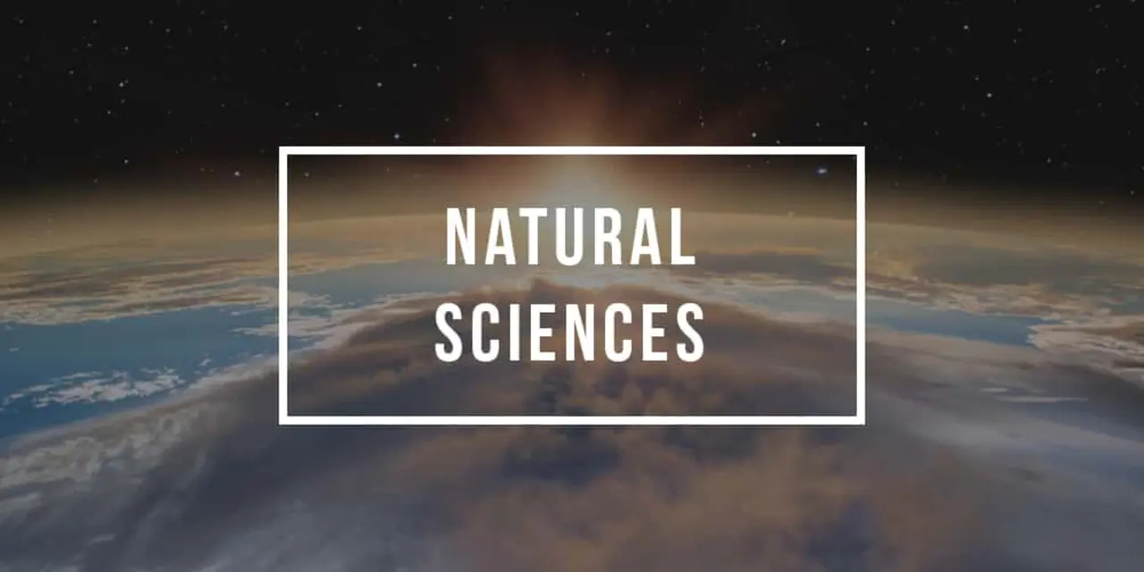 Какие примеры социальных и естественных наук?